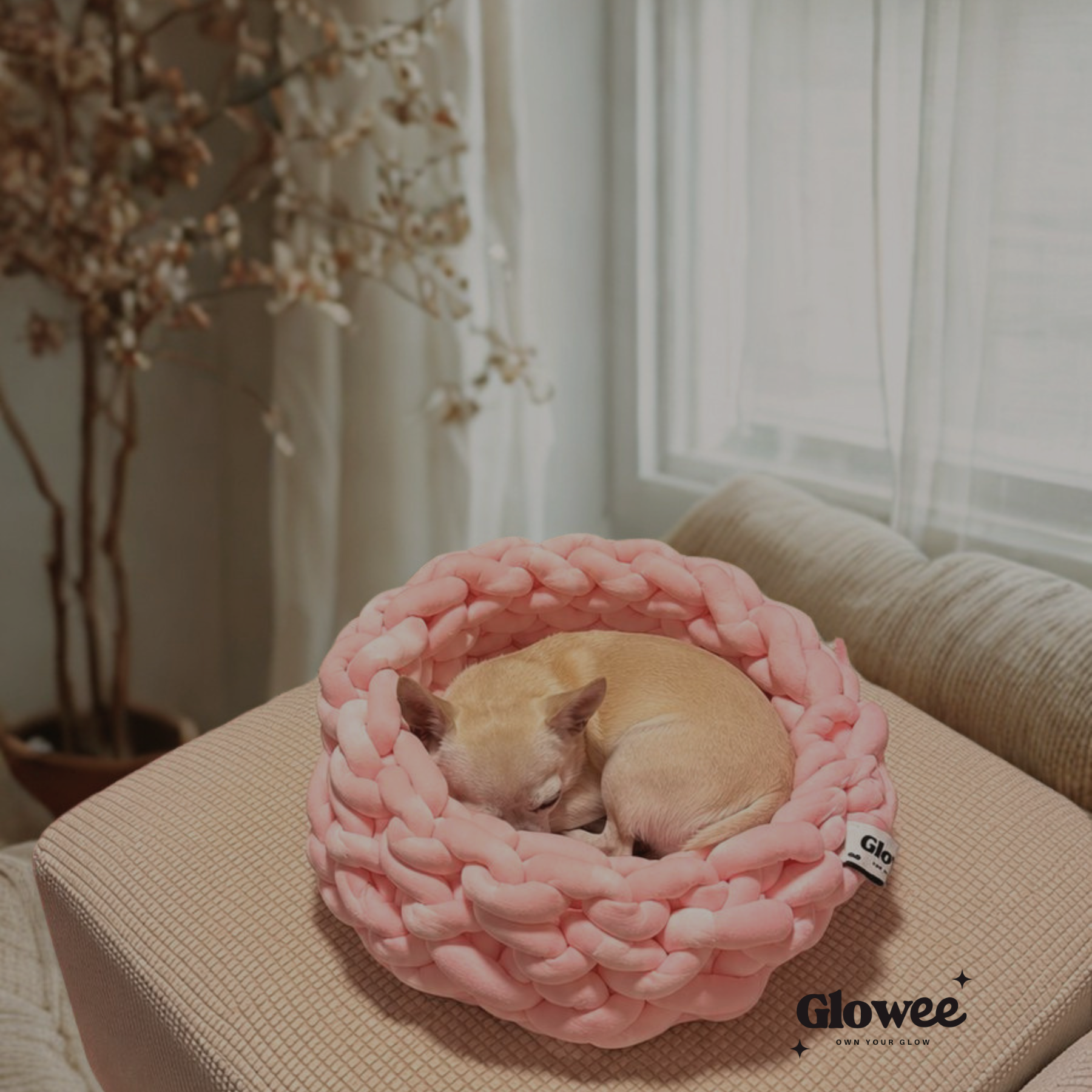 The Cozy Pet Bed — Custom Edition