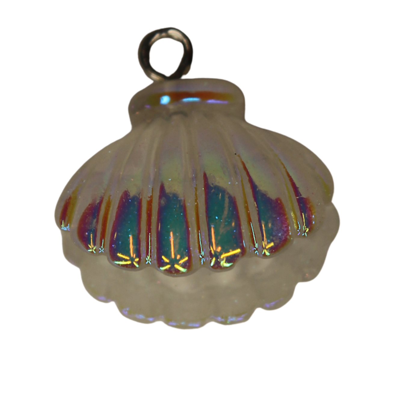 Shiny Seashell