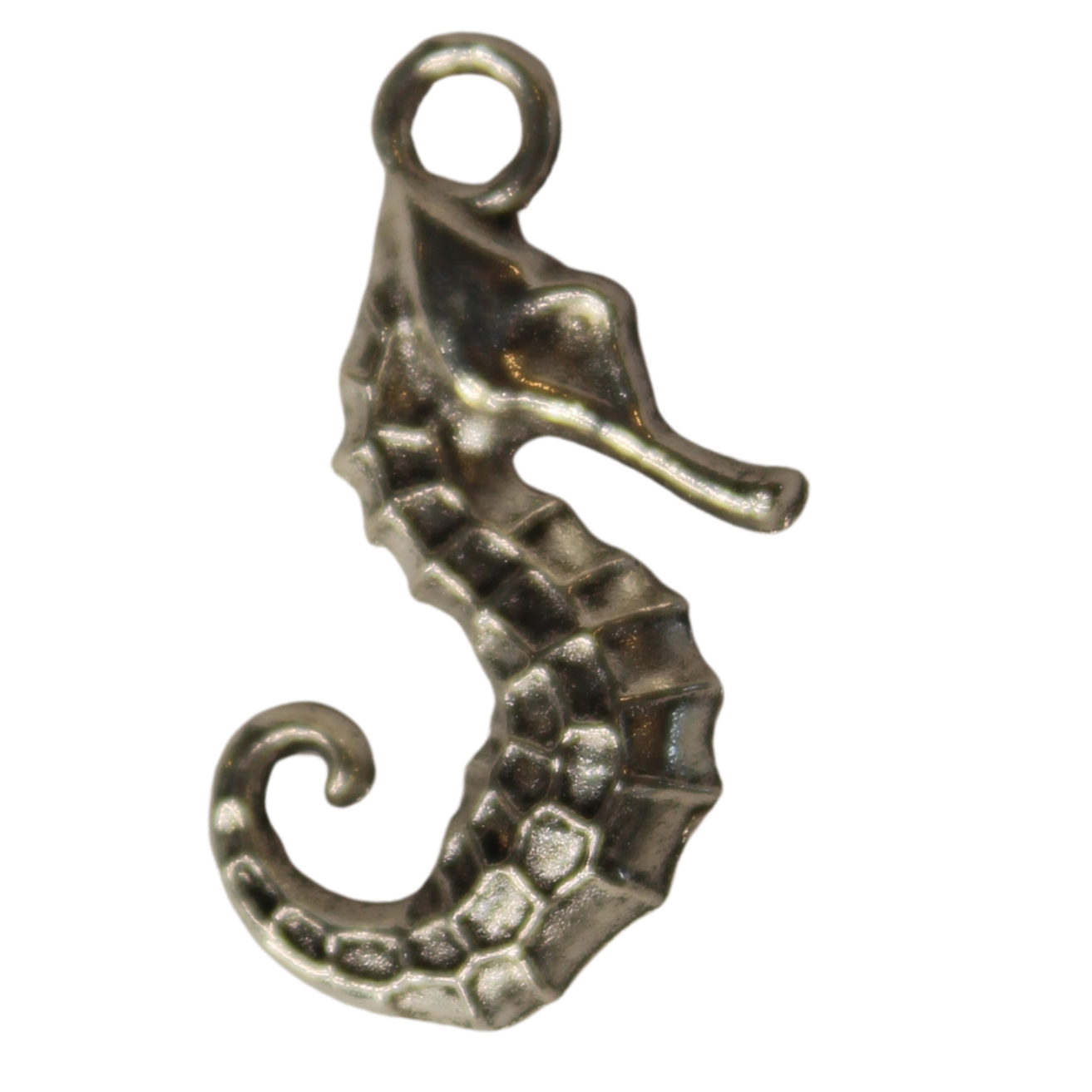 Seahorse